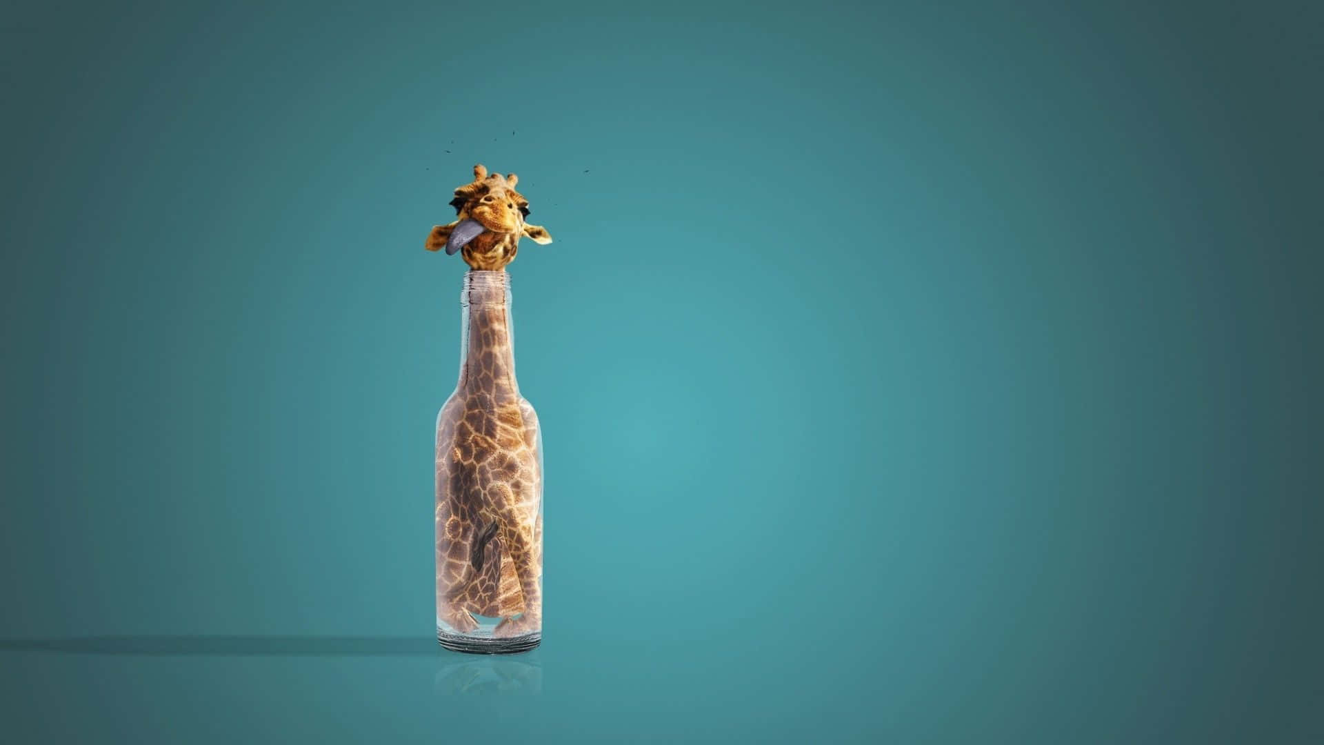 Funny Giraffe Stuck Inside A Glass Bottle Background