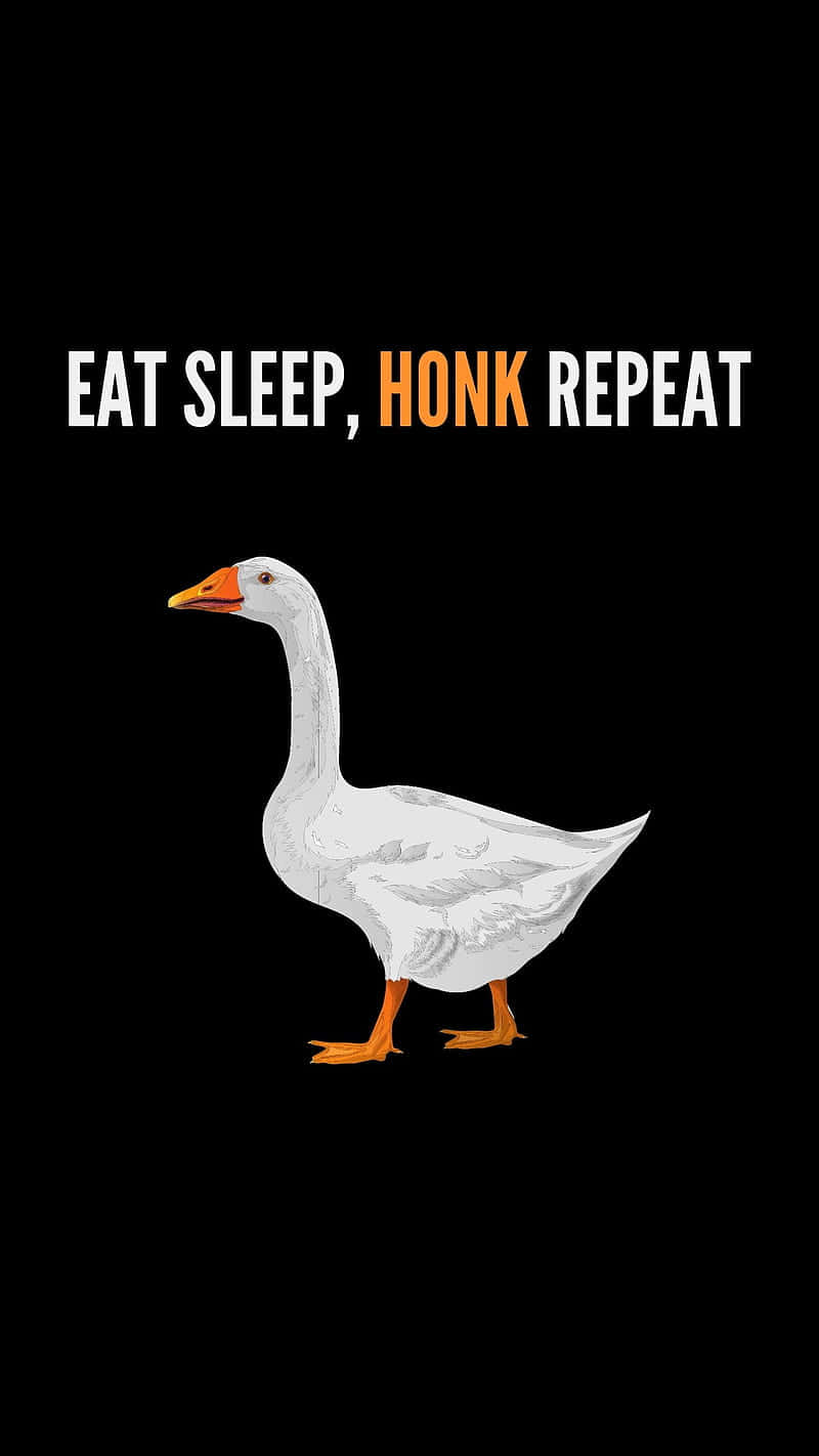 Funny Goose Eat Sleep Honk Repeat Background