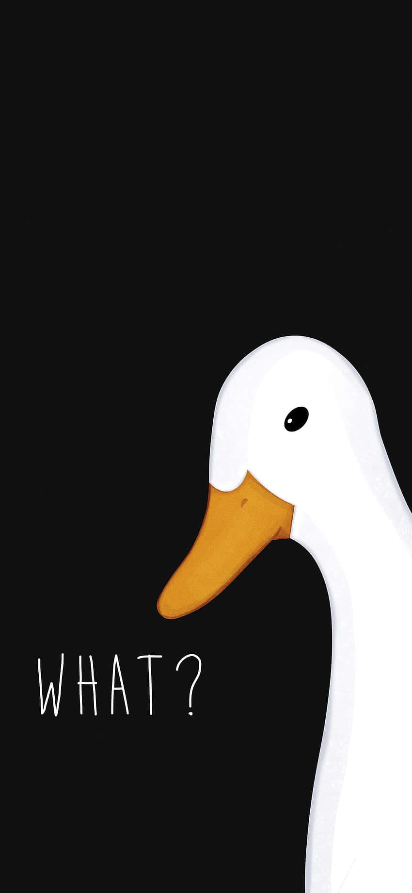 Funny Goose Saying What Background