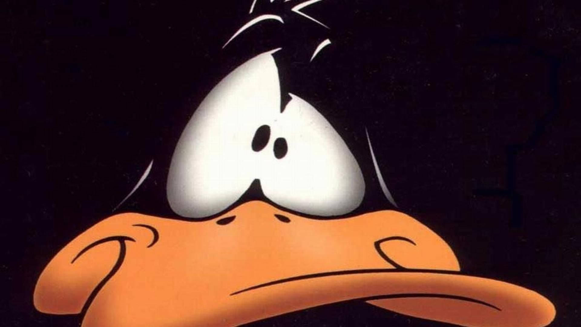 Funny Look Of Daffy Duck Background