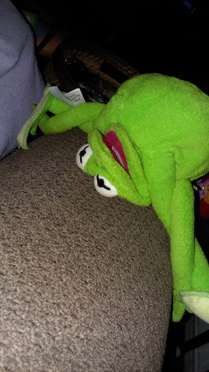 Funny Pfp For Tiktok Of Kermit Background