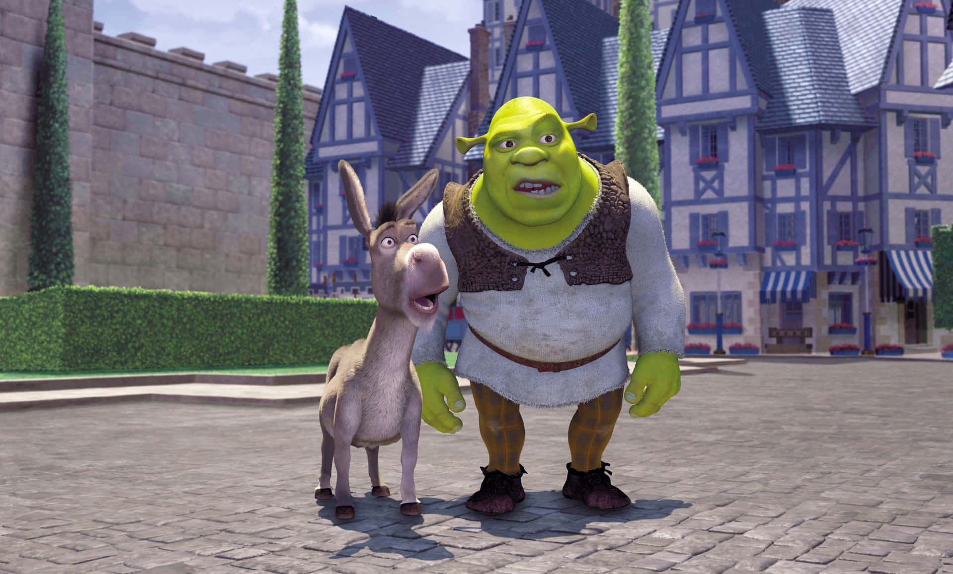 Funny Shrek And Donkey Welcome To Duloc Background