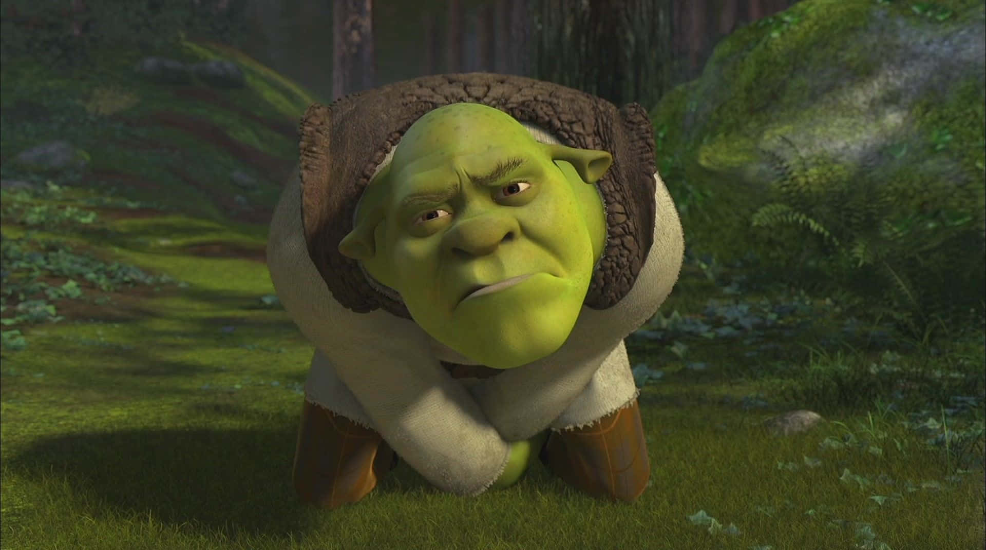 Funny Shrek Hurting His Crotch Background