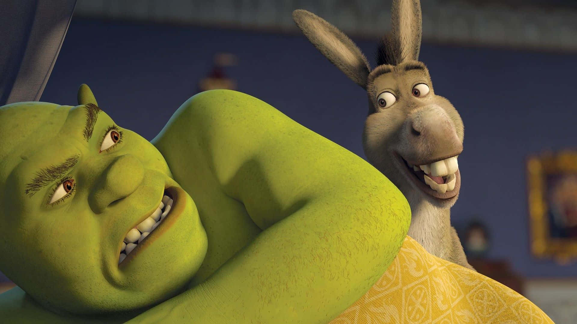 Funny Shrek In Bed Annoyed By Donkey Background