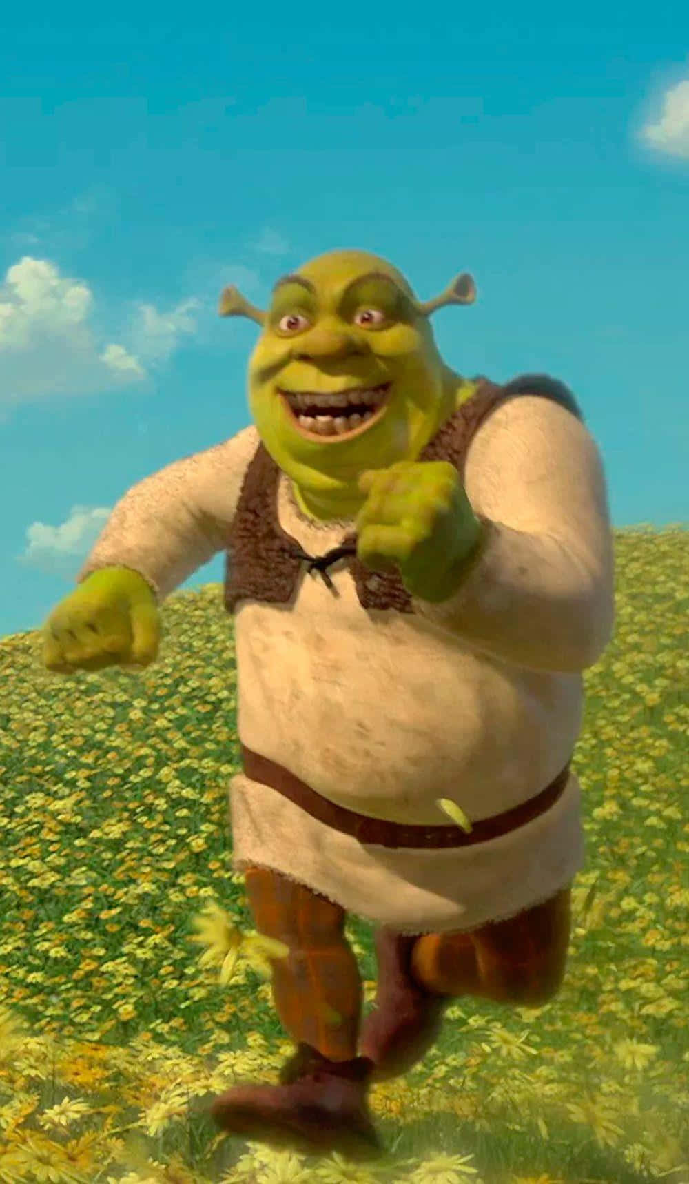 Funny Shrek Running On A Flower Field Background