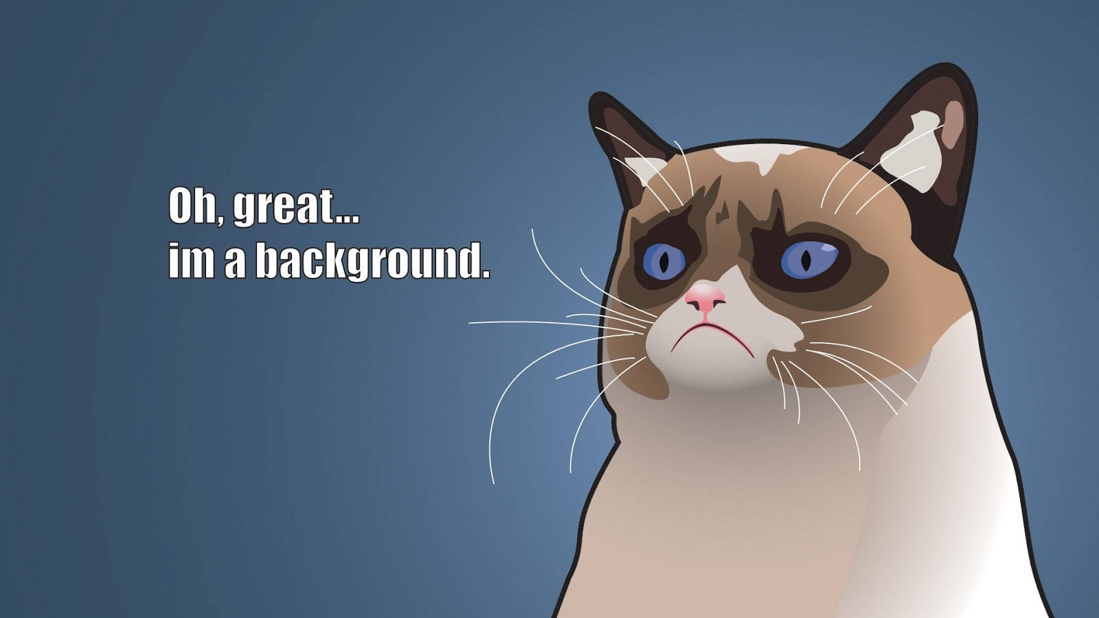 Funny Siamese Cartoon Cat Meme Background