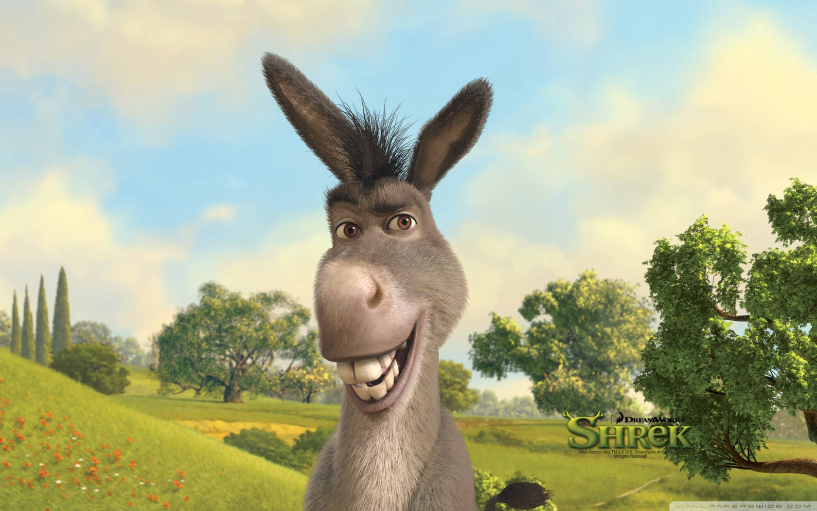 Funny Smiling Donkey Background