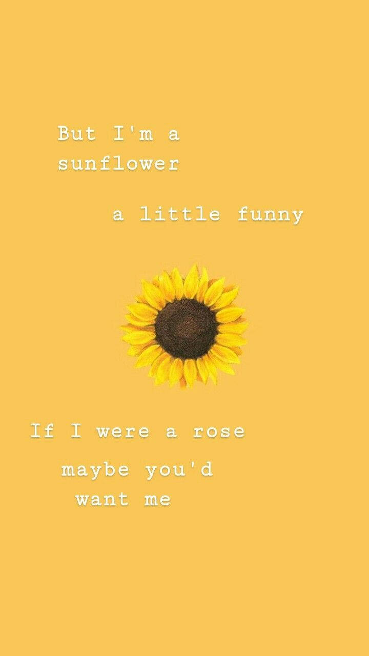 Funny Sunflower Cute Quotes Background