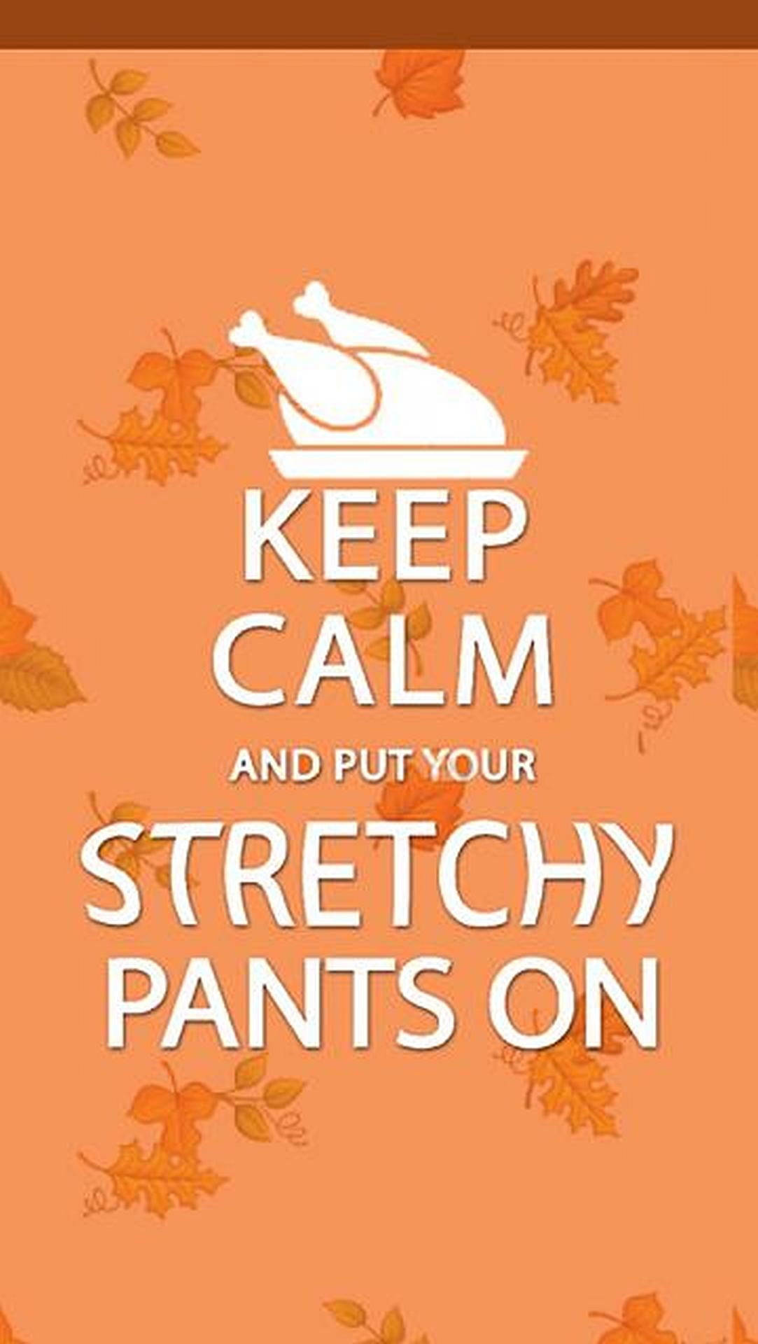 Funny Thanksgiving Quote Iphone Background