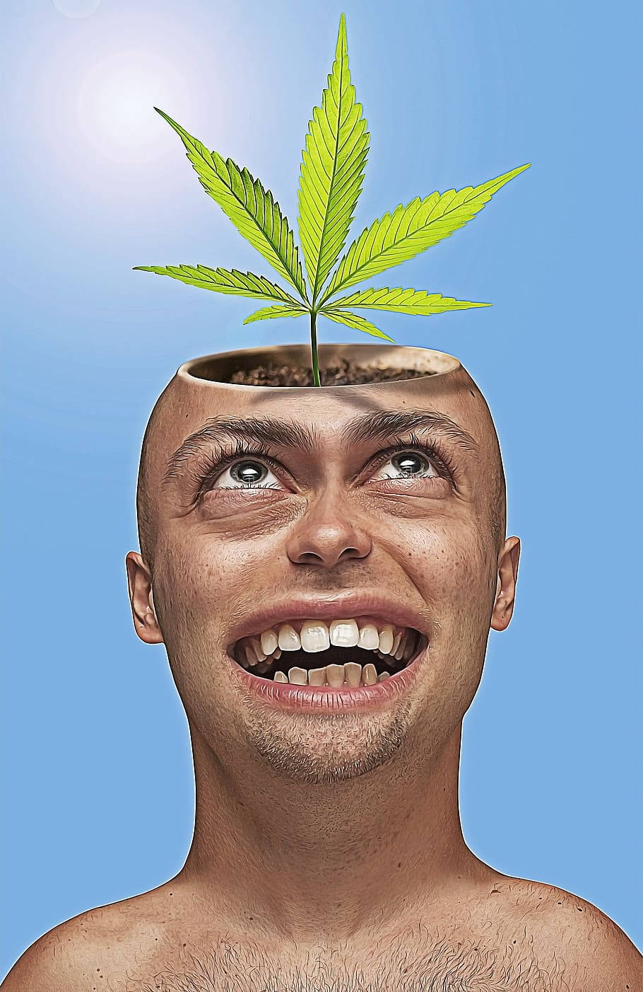 Funny Weed From Head Background