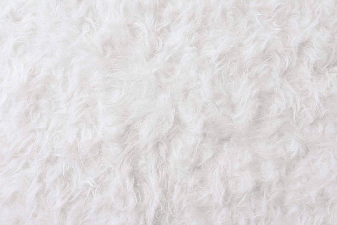 Fur Rug White Texture Background