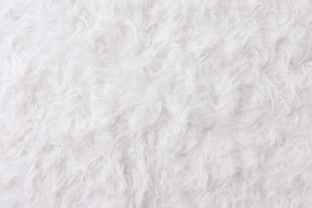 Fur Rug White Texture