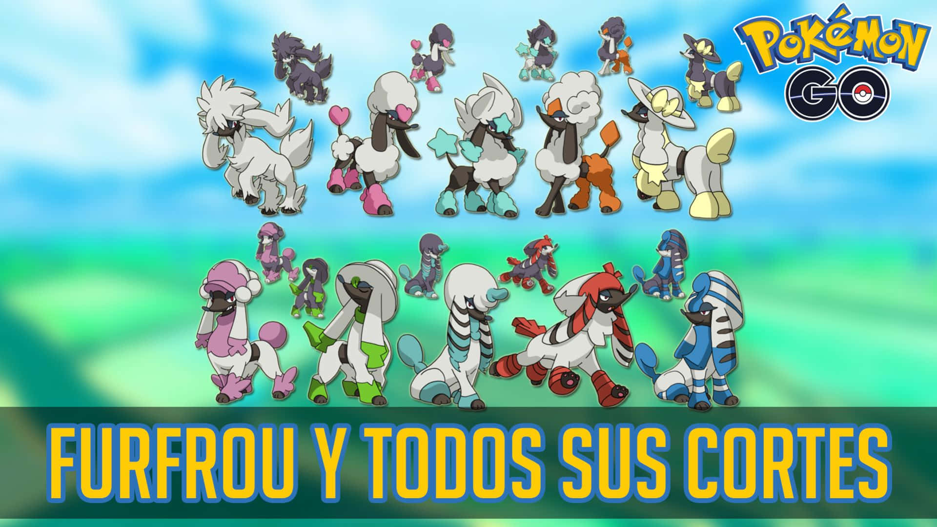 Furfrou Forms Pokemon G O Background