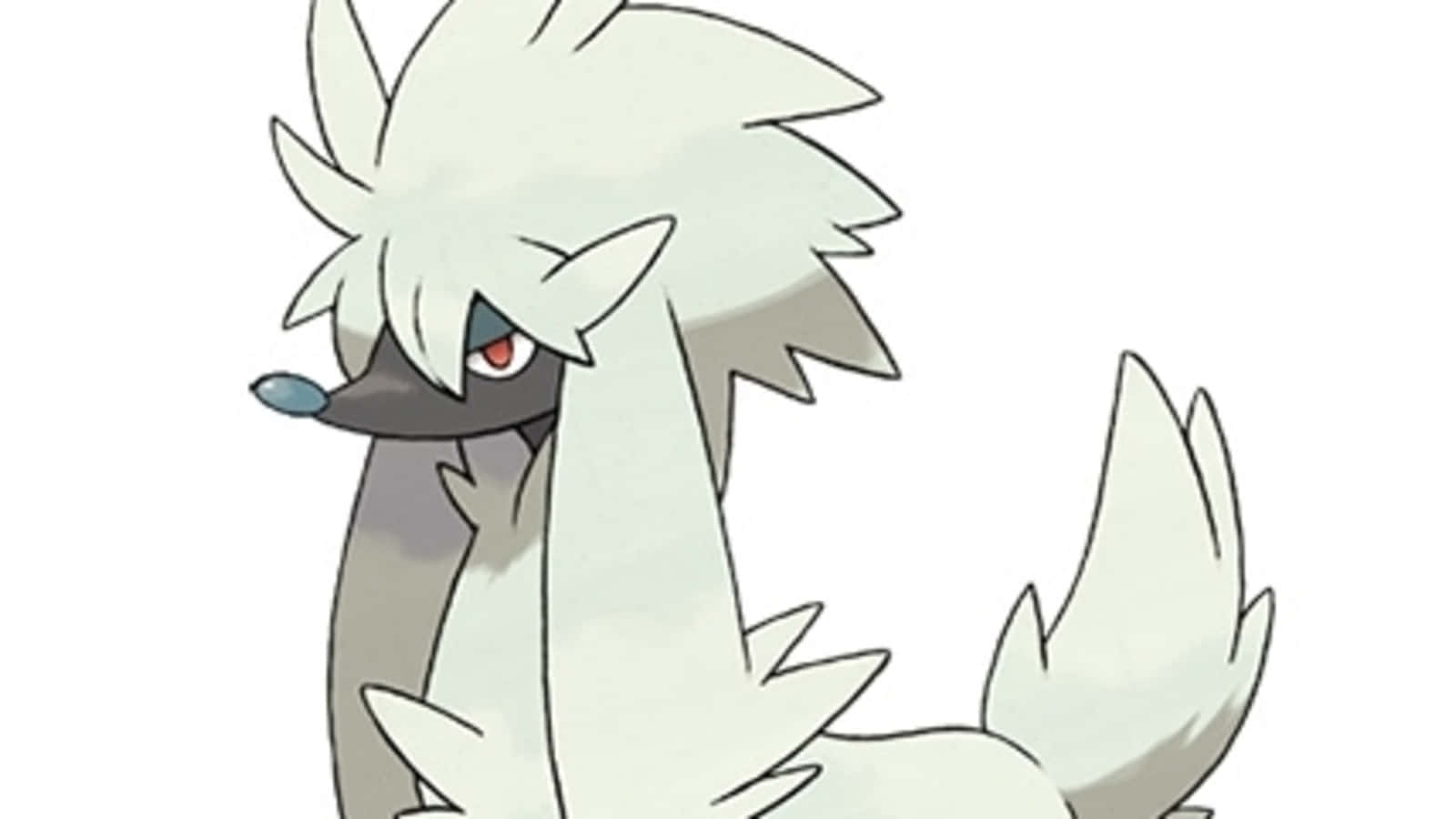 Furfrou Pokemon Artwork Background