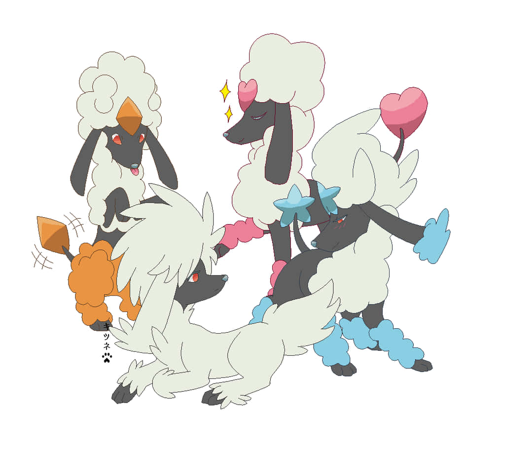 Furfrou Pokemon Variations Background