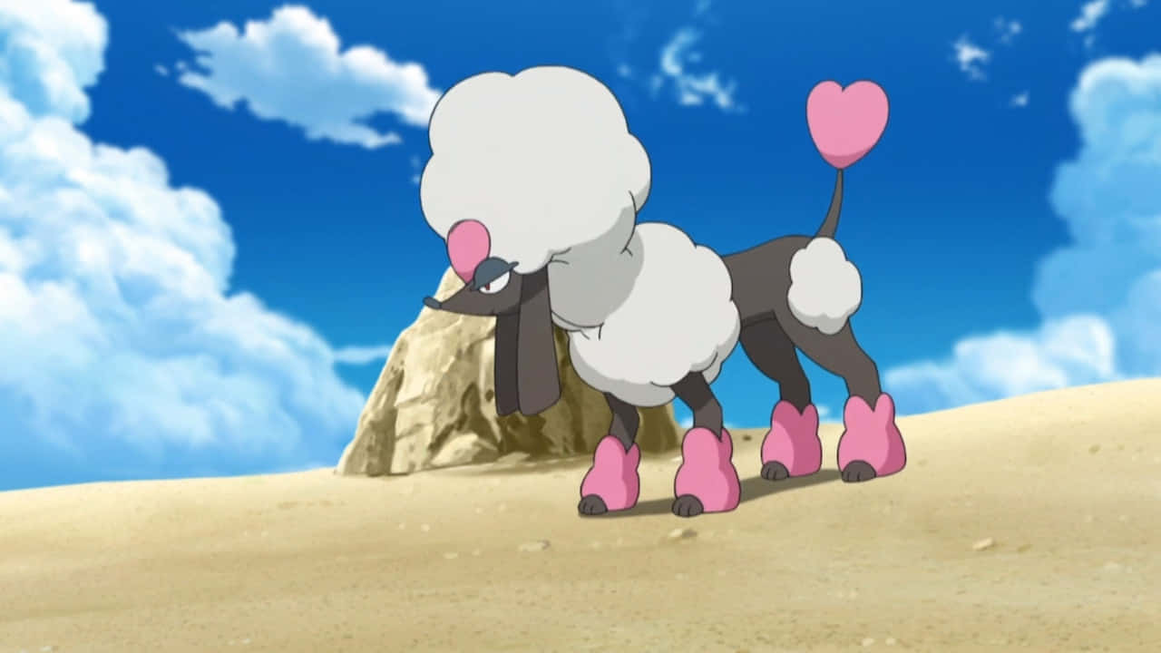 Furfrou Pokemonin Desert Background