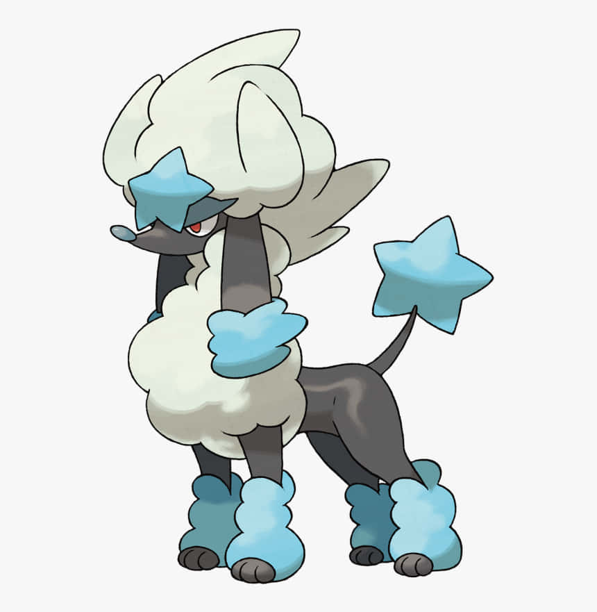 Furfrou Star Trim Pokemon Background