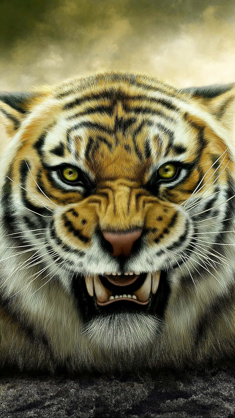 Furious Tiger Face