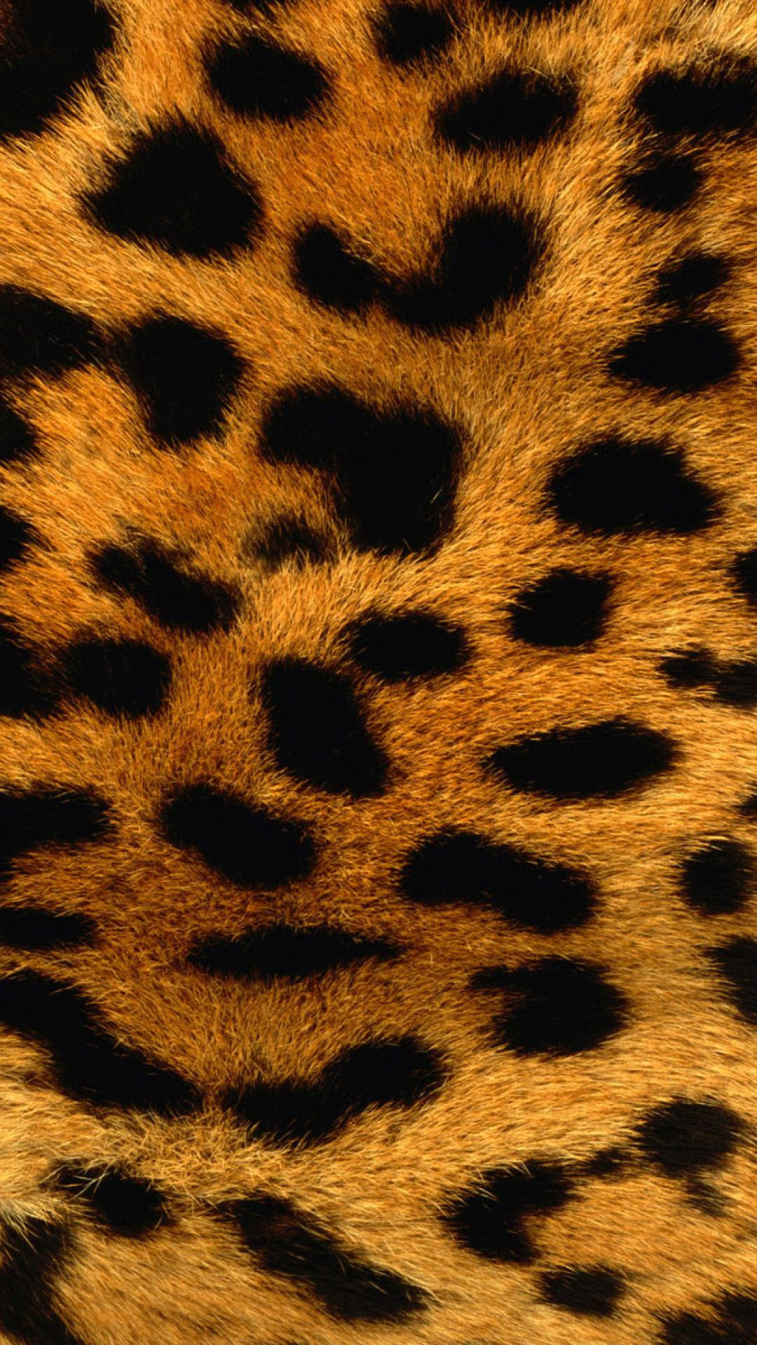 Furry Leopard Print Brown Background