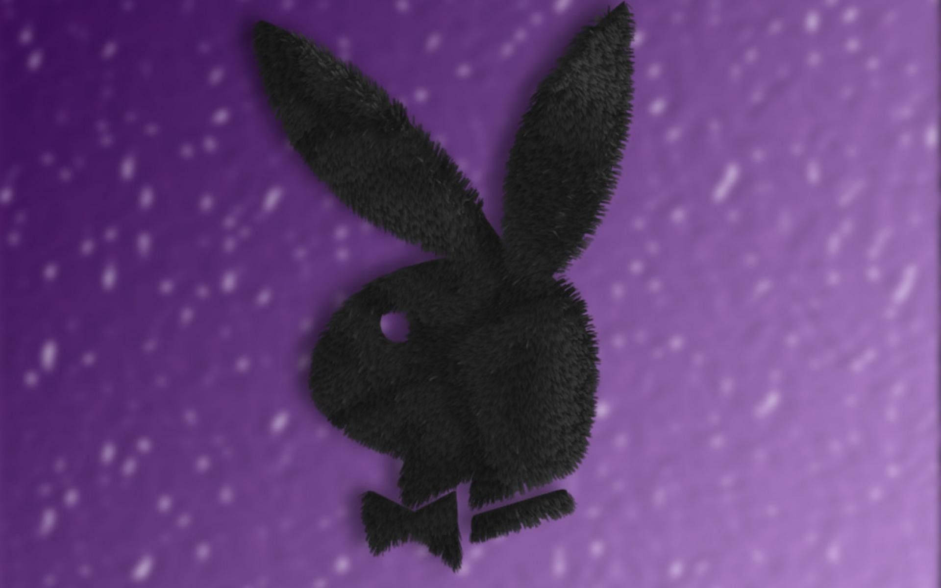 Furry Playboy Logo Background