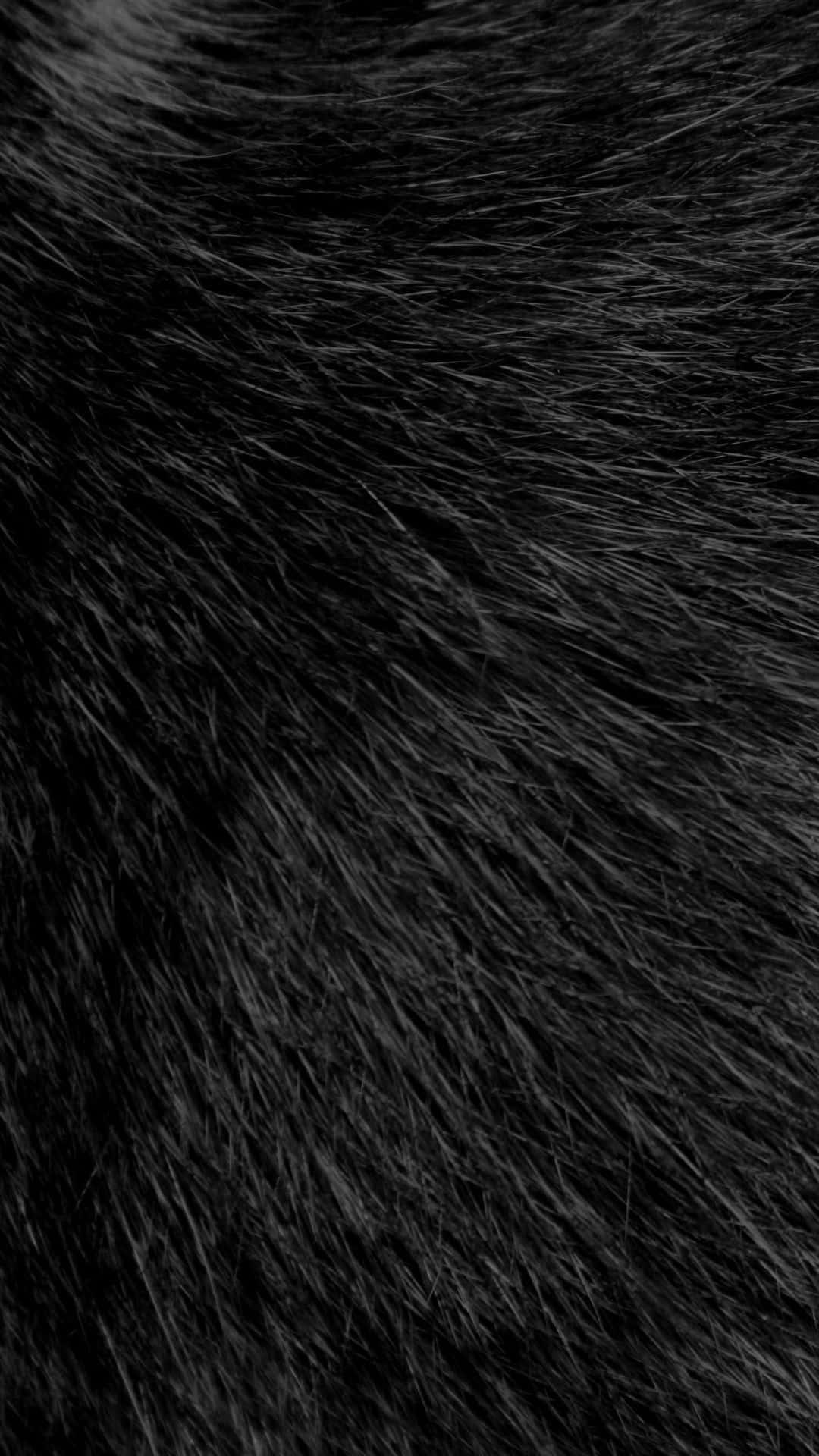 Fuzzy Black Hair Background