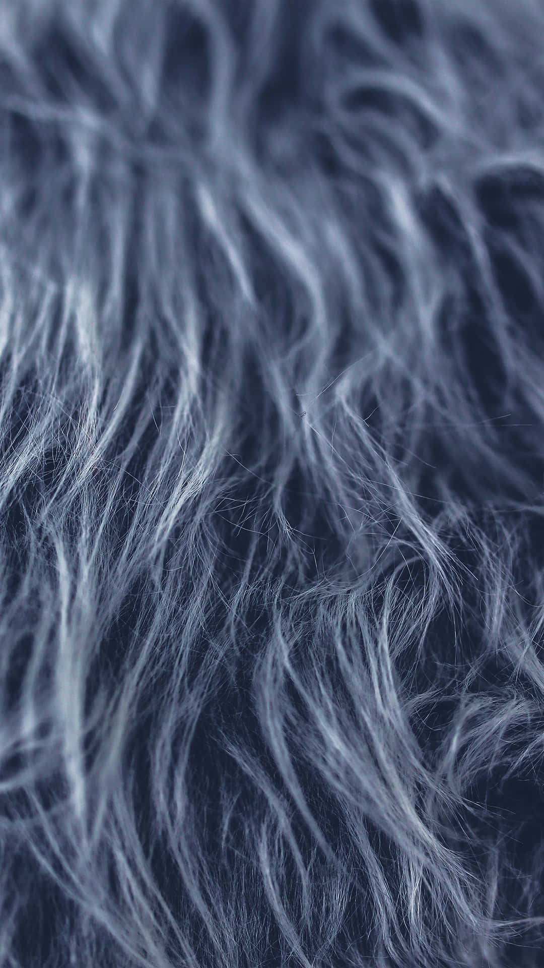 Fuzzy Gray Hair Background