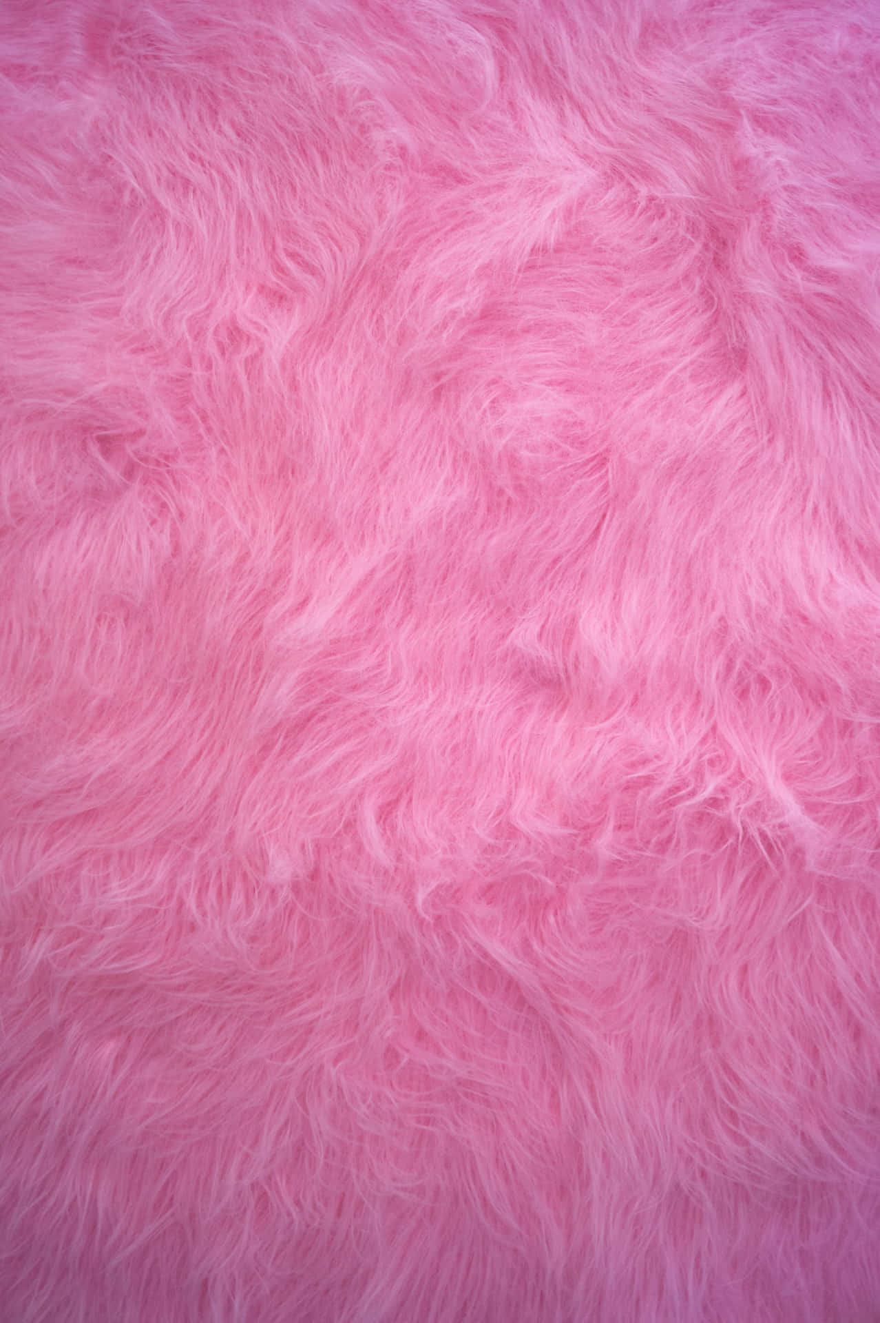 Fuzzy Pink Fur Background