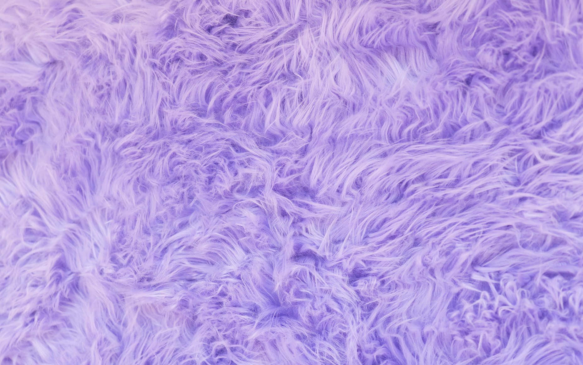 Fuzzy Purple Fur Background