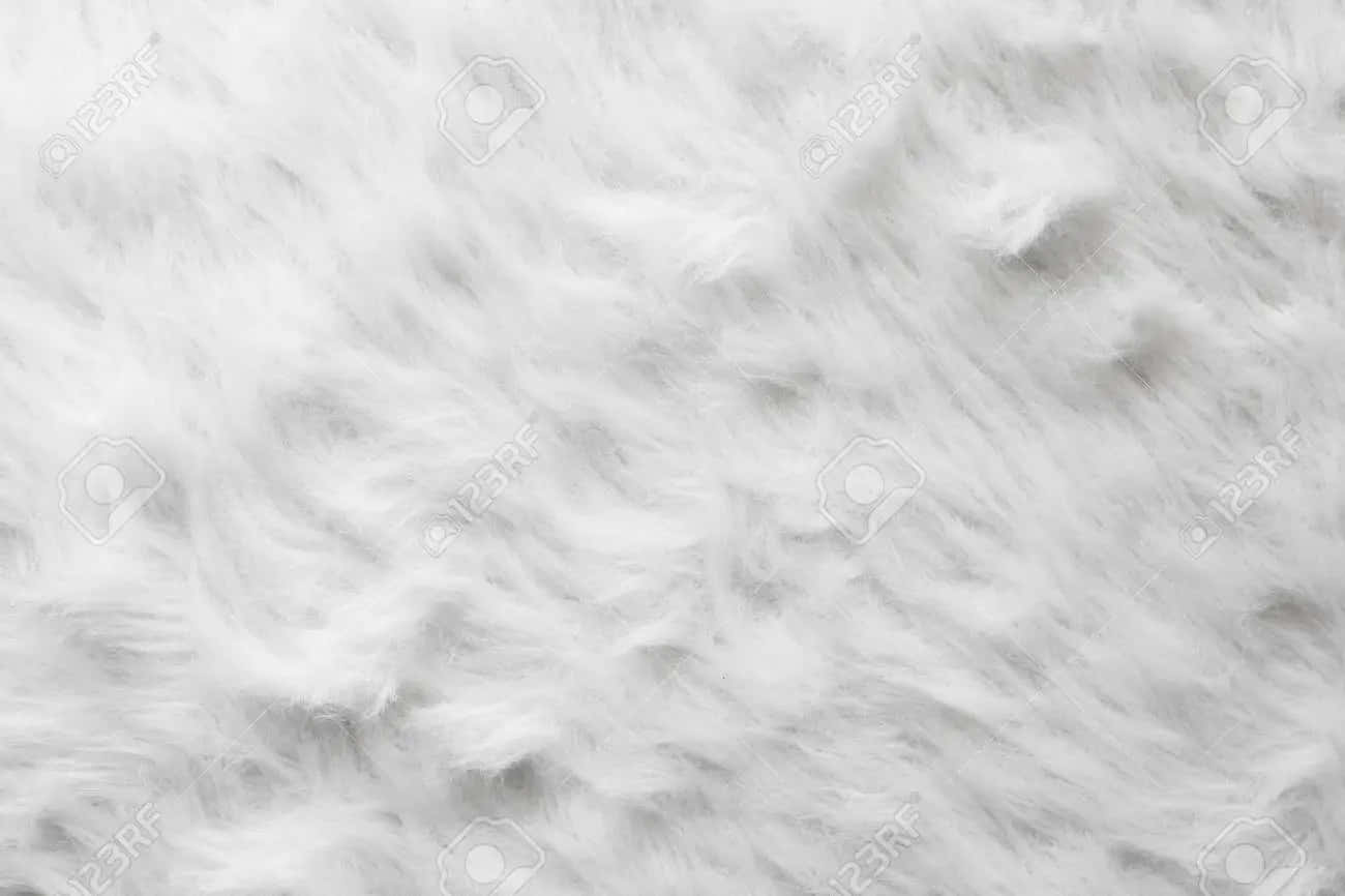 Fuzzy White Fabric Background