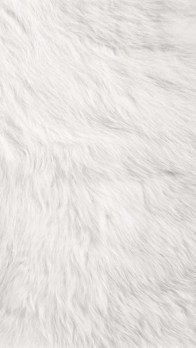 Fuzzy White Fur Background