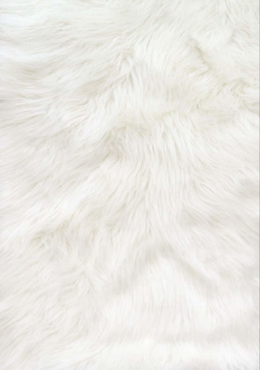 Fuzzy White Fur Background