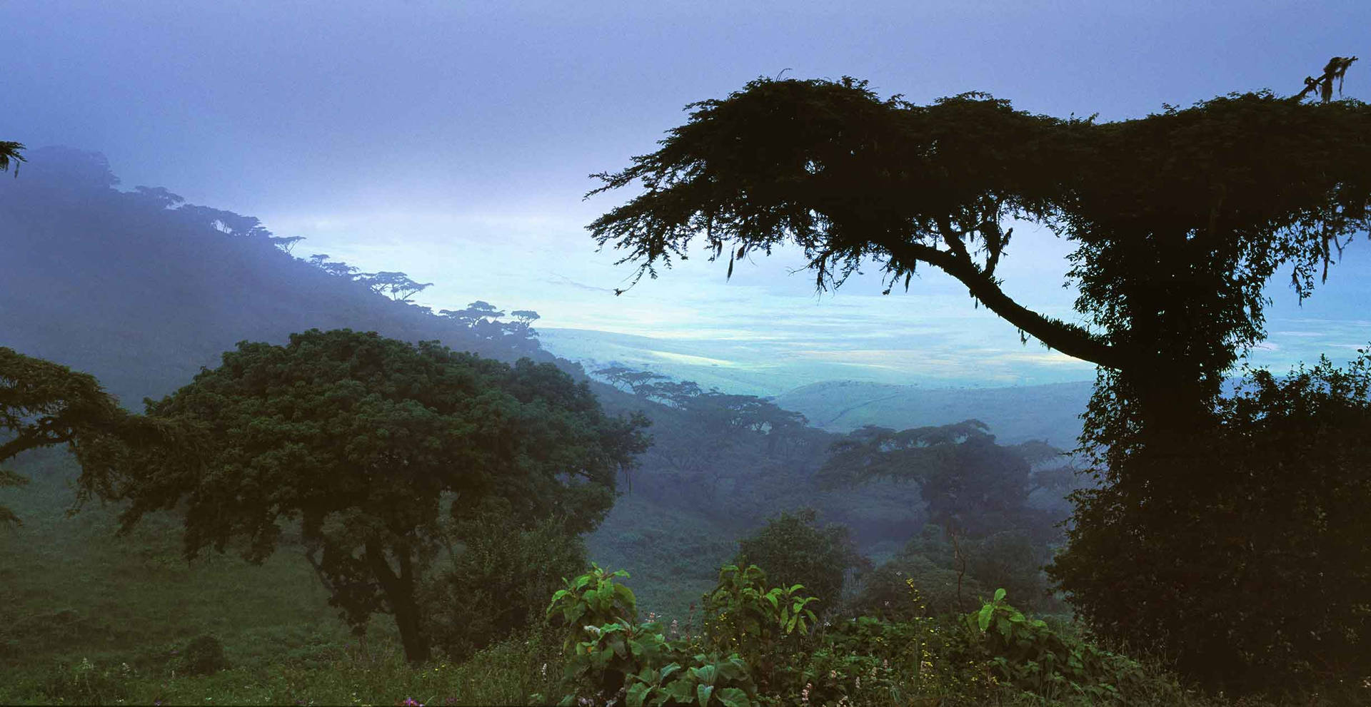 Gabon Nature Scenery