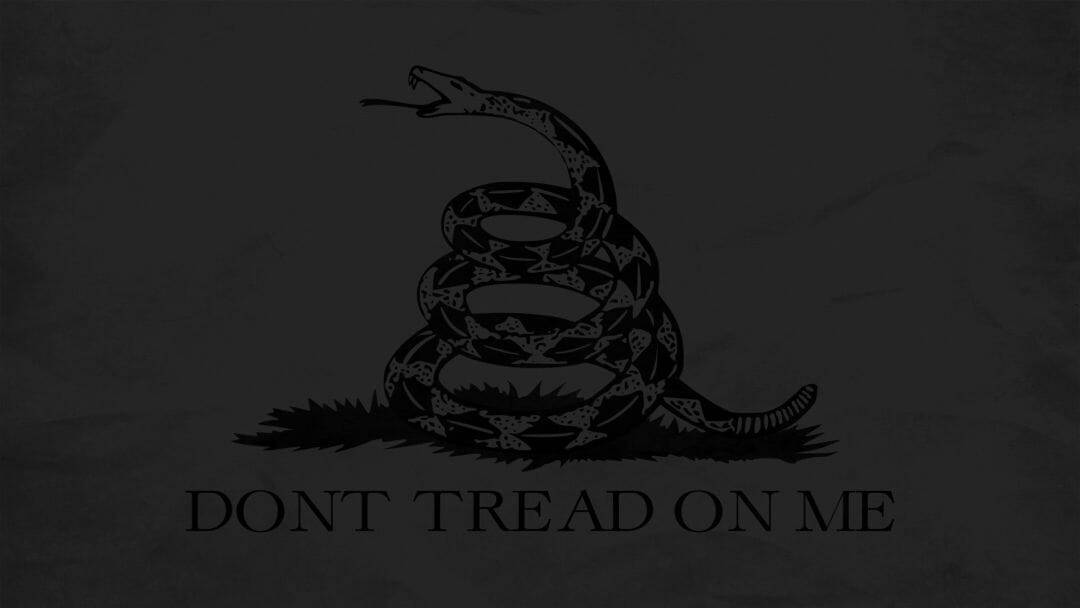 Gadsden Flag Dark Preset Background