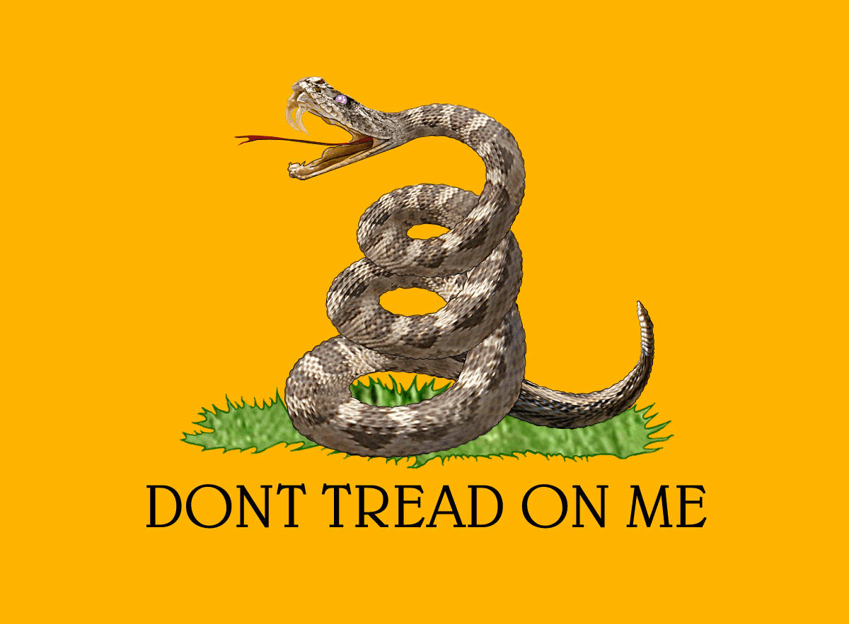 Gadsden Flag Orange Canvas Snake Background