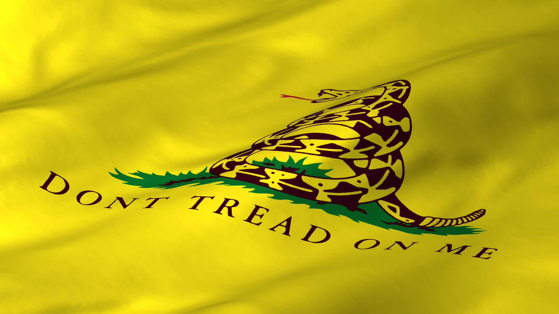 Gadsden Flag Original Design Background