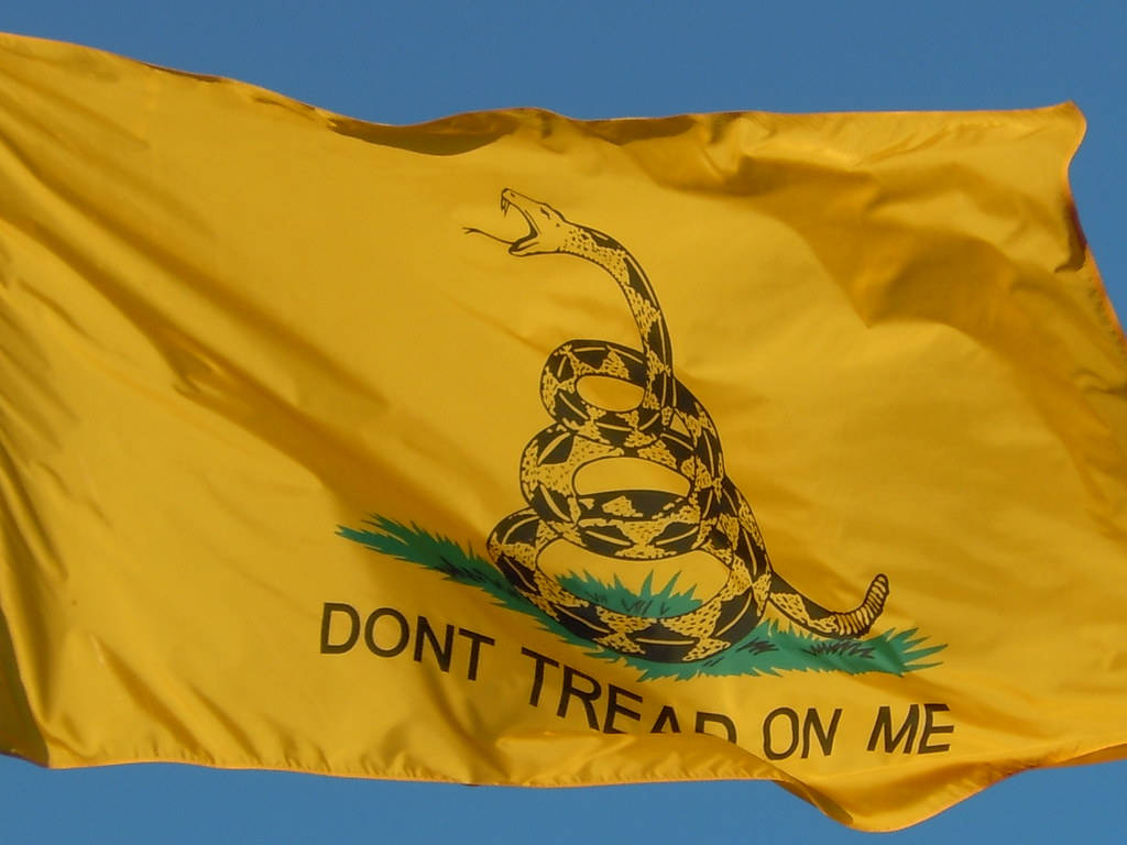 Gadsden Flag Raised On Pool Background