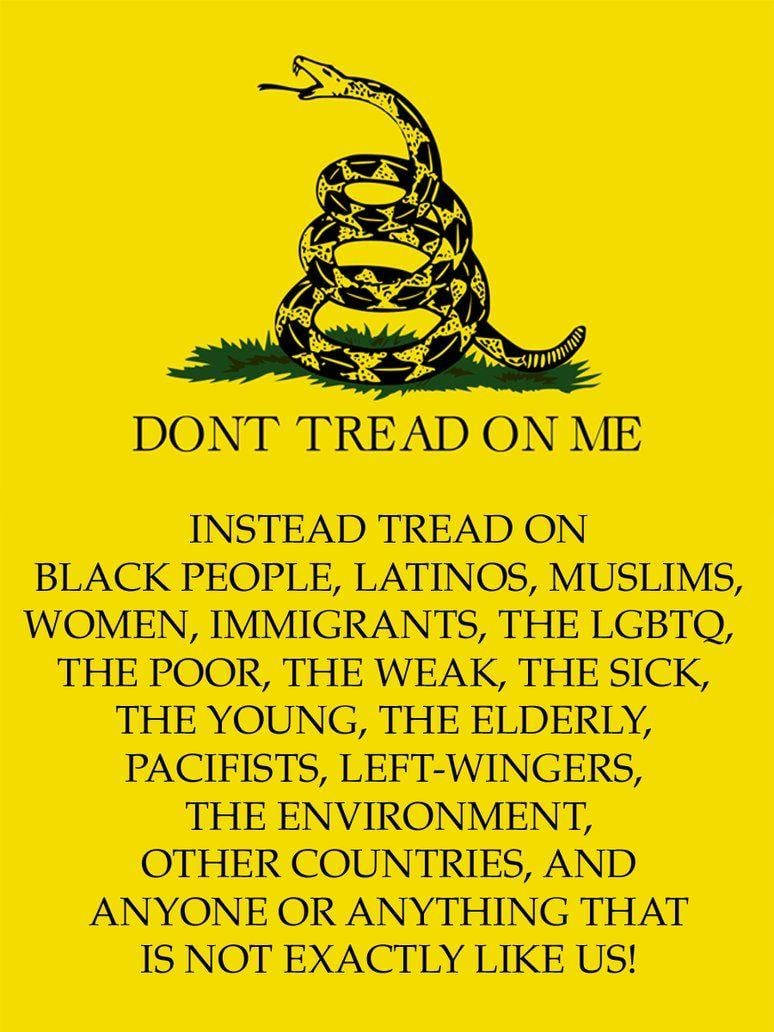 Gadsden Flag Rattlesnake Meaning Explanation Background