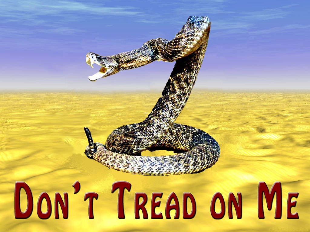 Gadsden Flag Realistic Rattlesnake Background