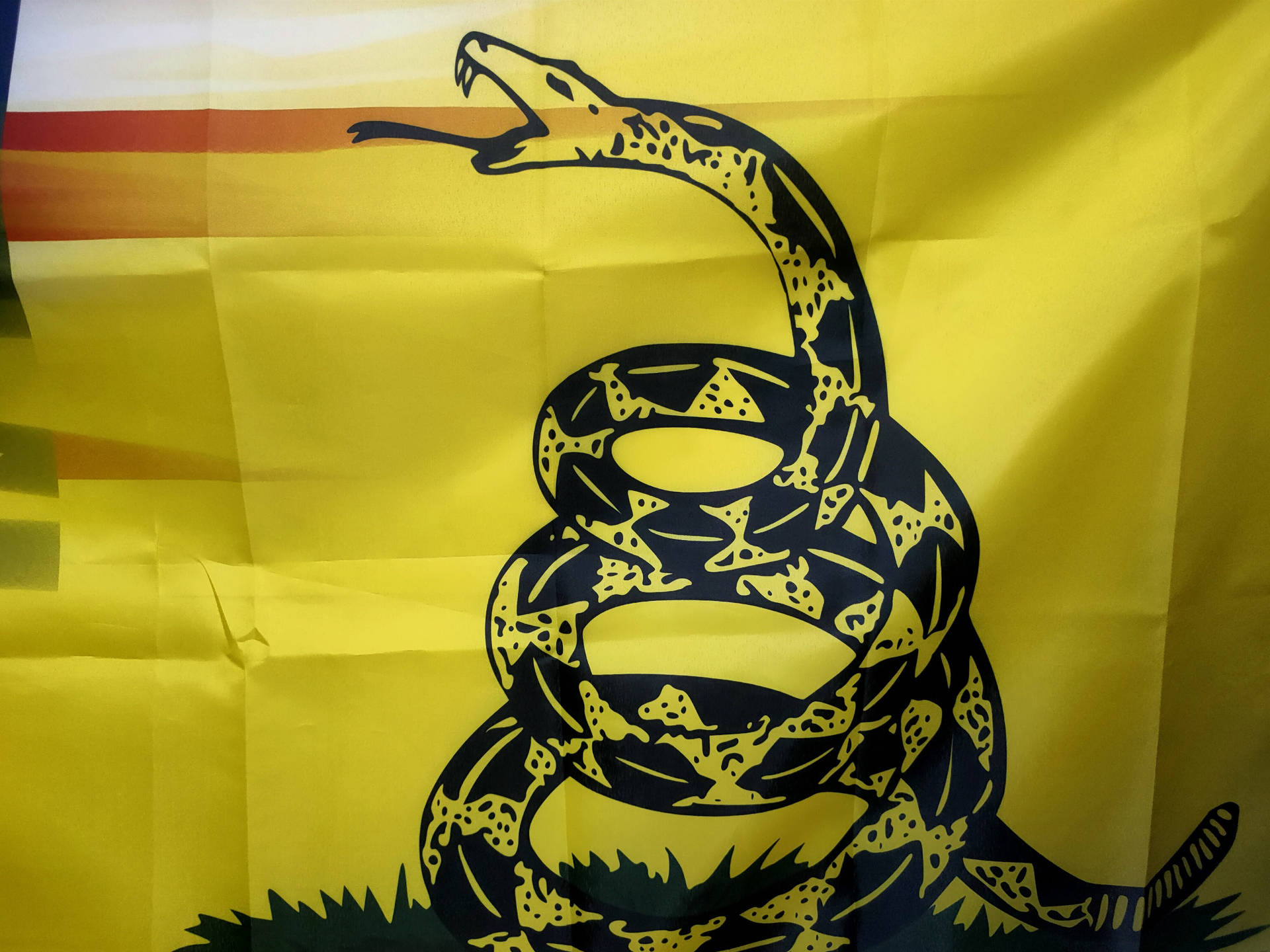 Gadsden Flag Snake Coil Position Background