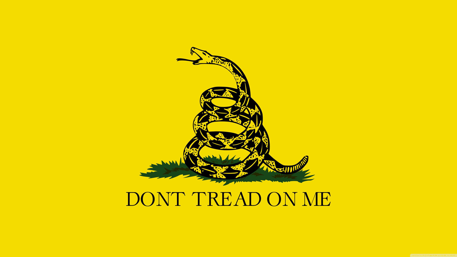 Gadsden Flag Yellow Canvas Background