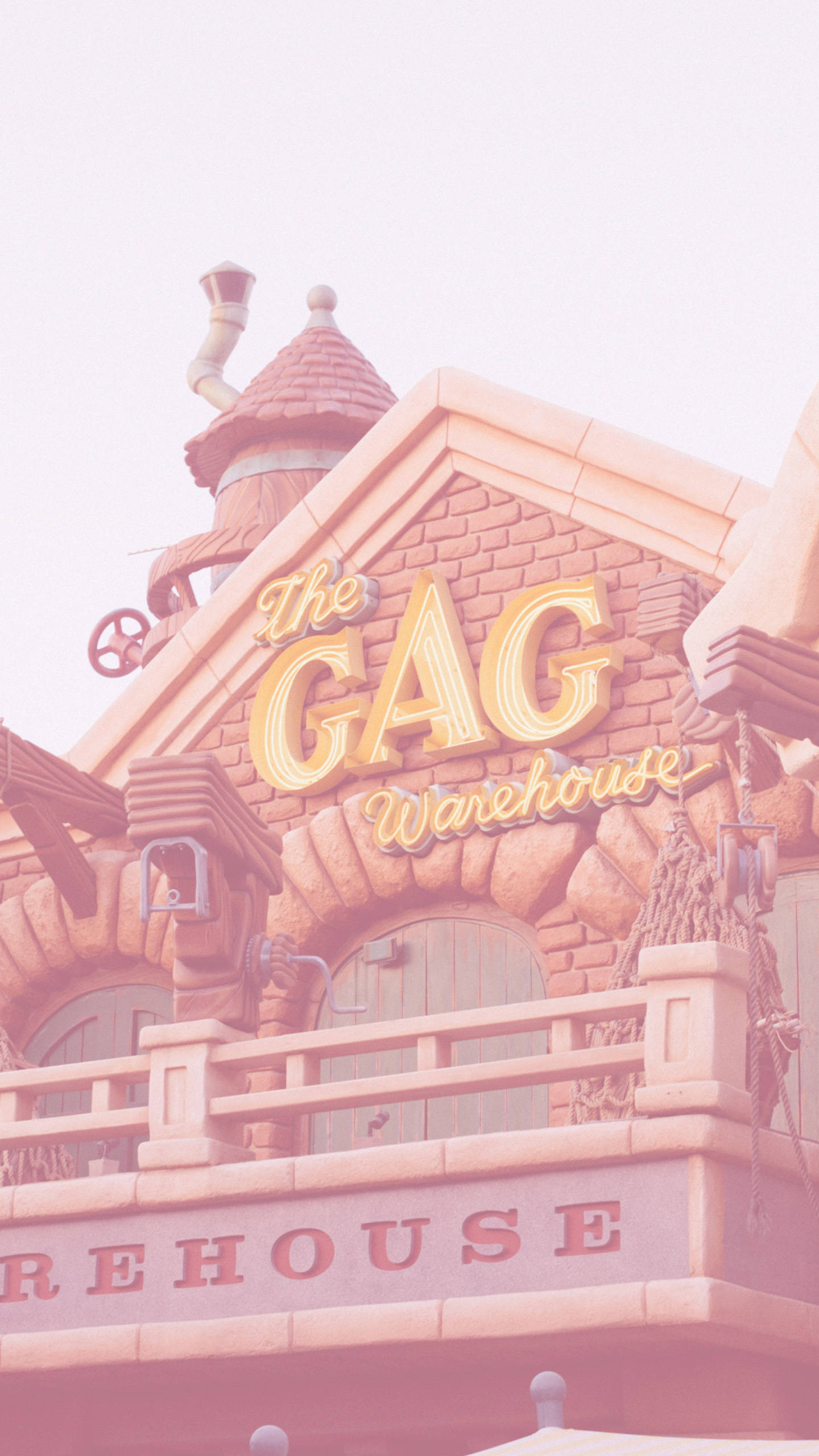 Gag Warehouse Disneyland