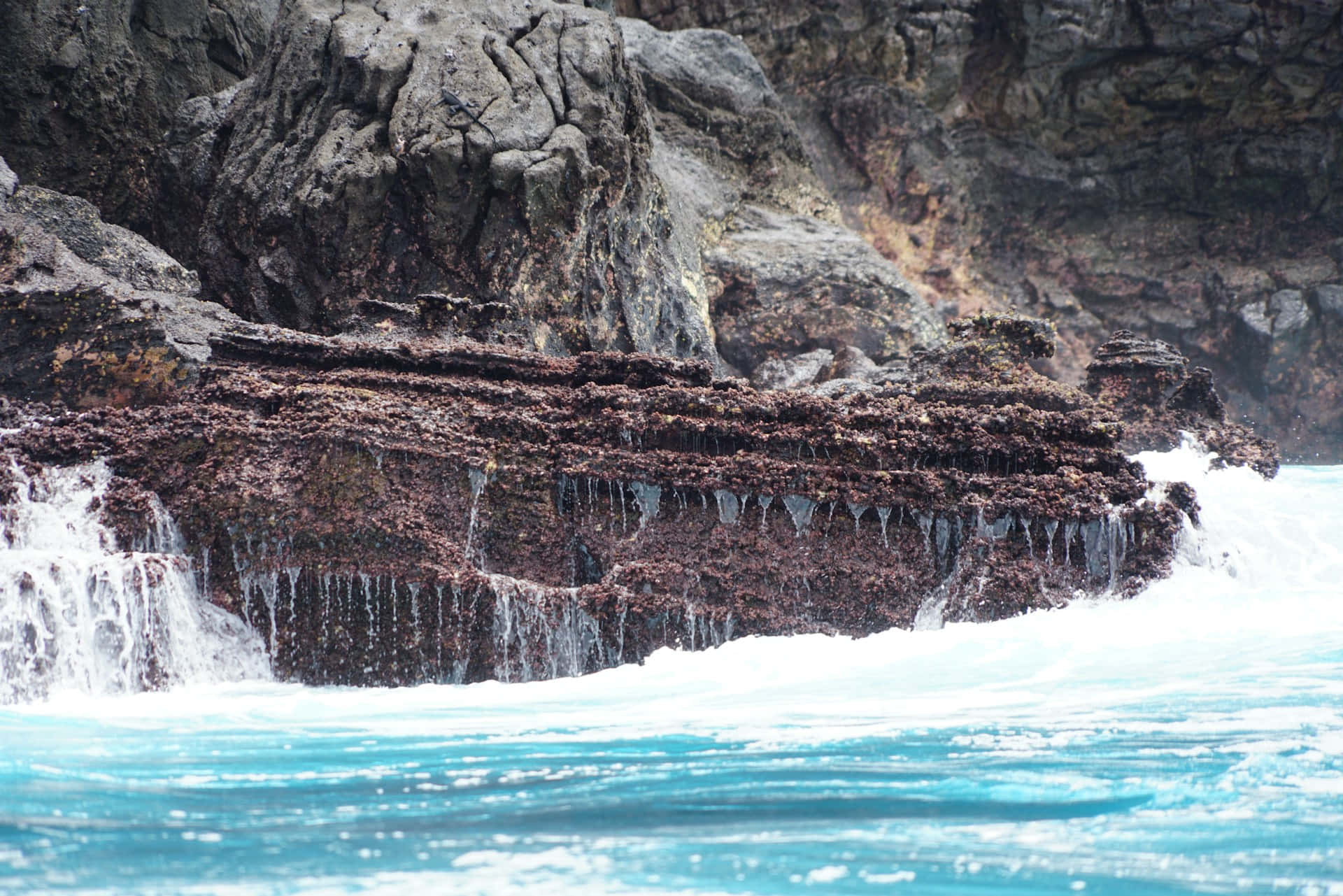 Galapagos_ Cliffside_ Waterfall Background