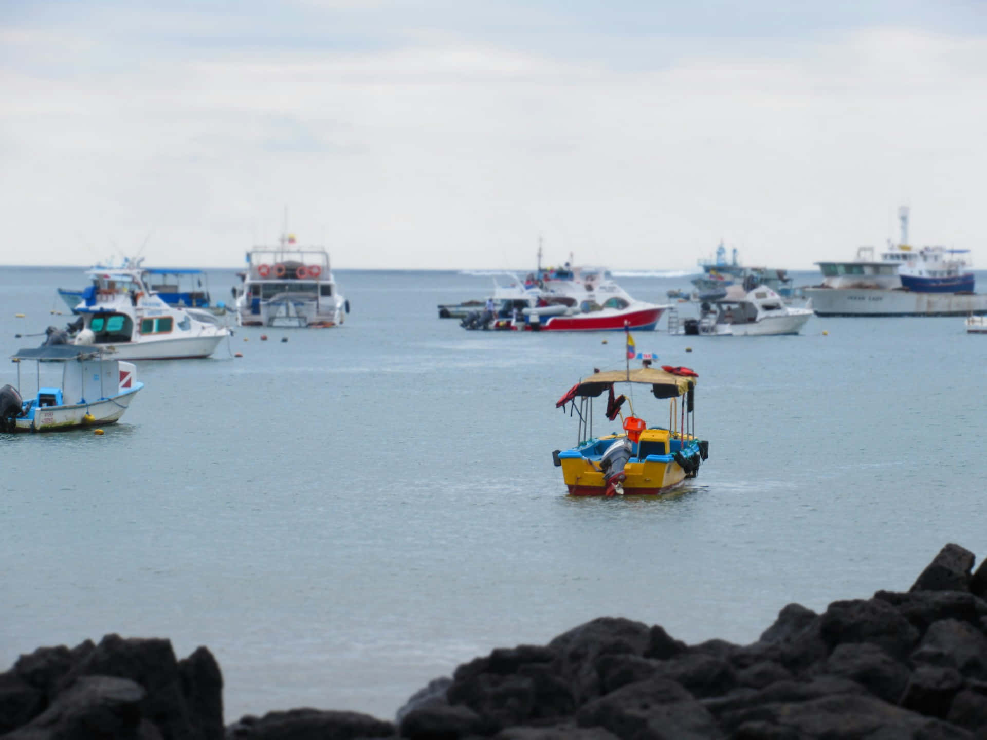 Galapagos_ Harbor_with_ Boats
