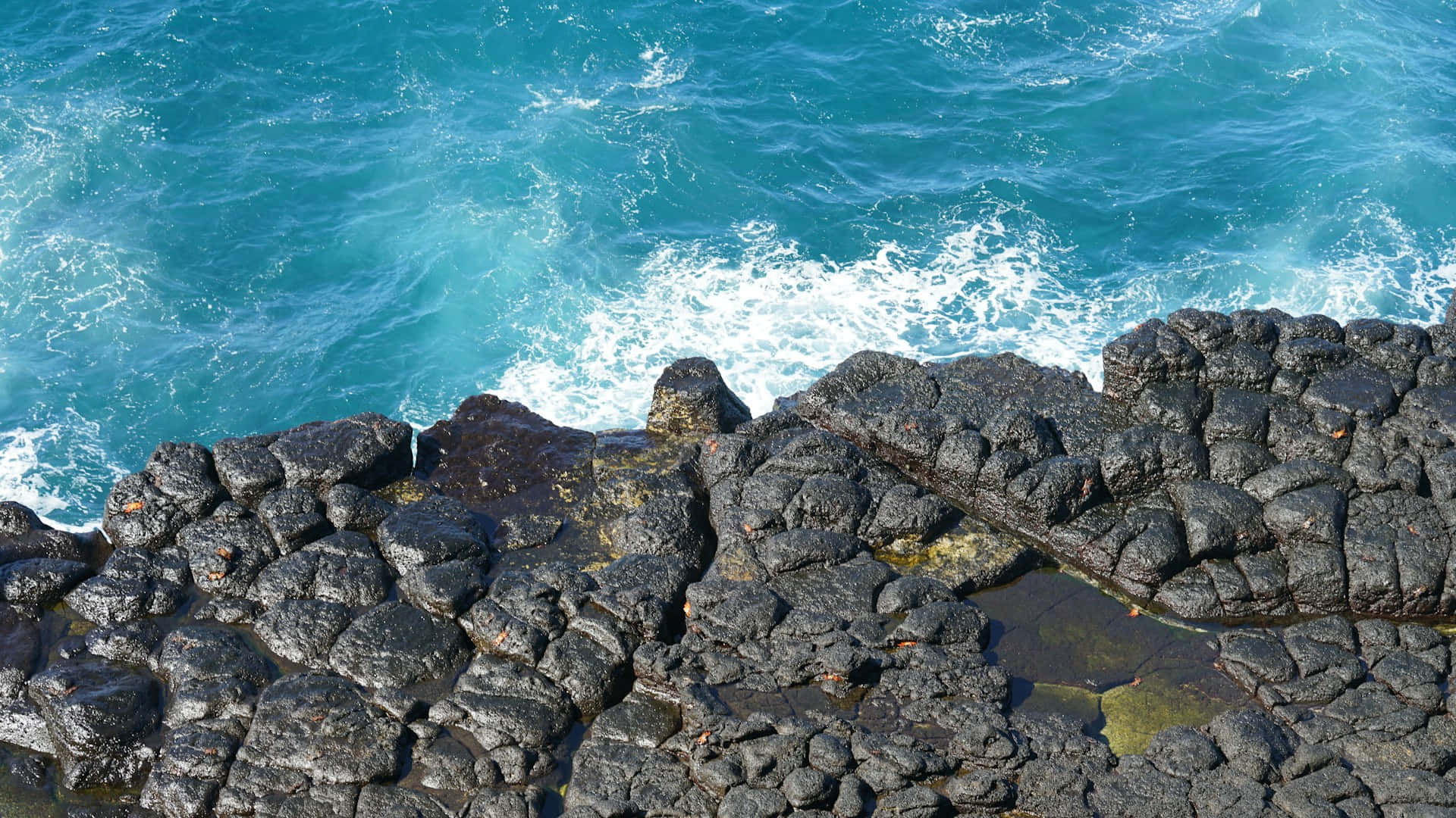 Galapagos Islands Volcanic Rocksand Turquoise Sea Background