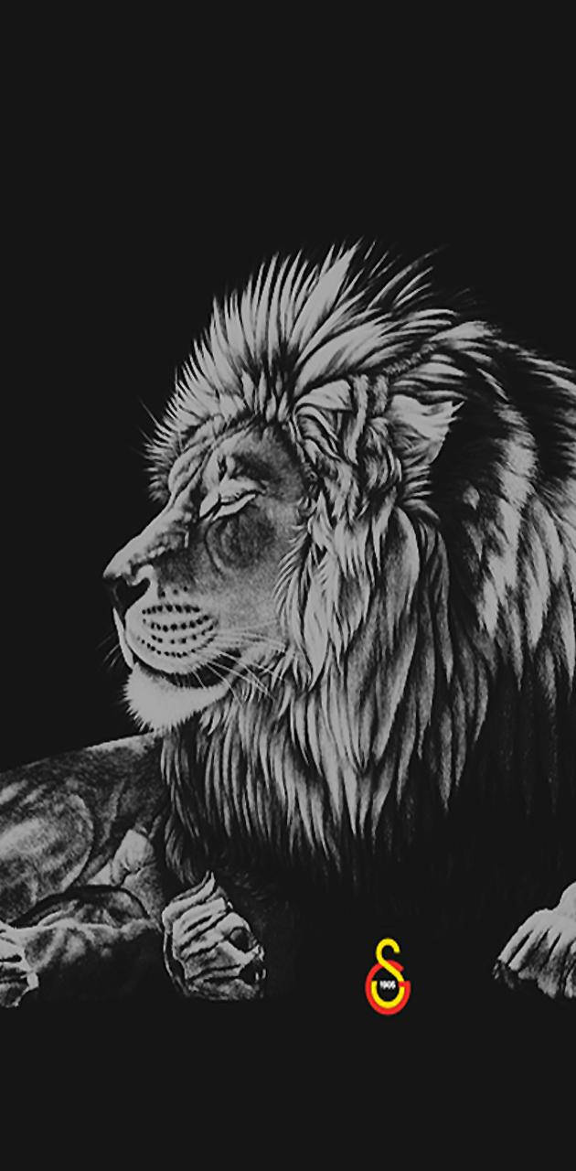 Galatasaray Grayscale Lion Background