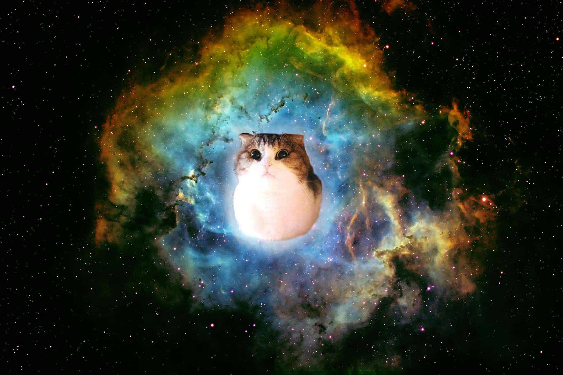 Galaxy Cat Centered Over A Nebula Background