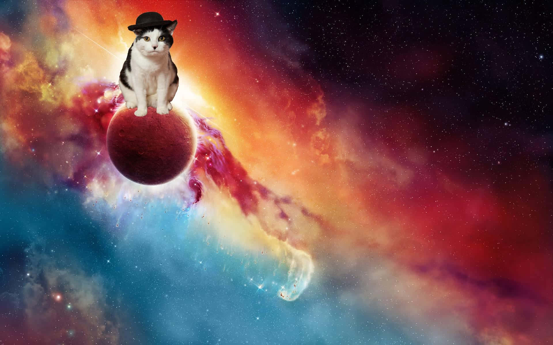 Galaxy Cat Perching On A Planet