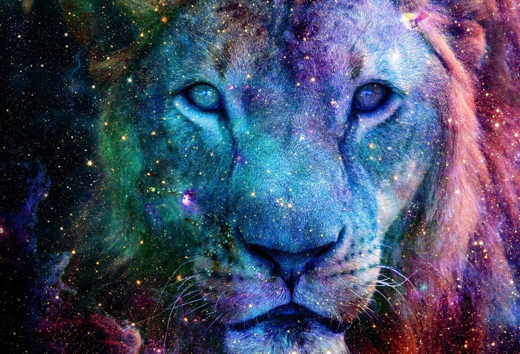 Galaxy Lion Portrait Background