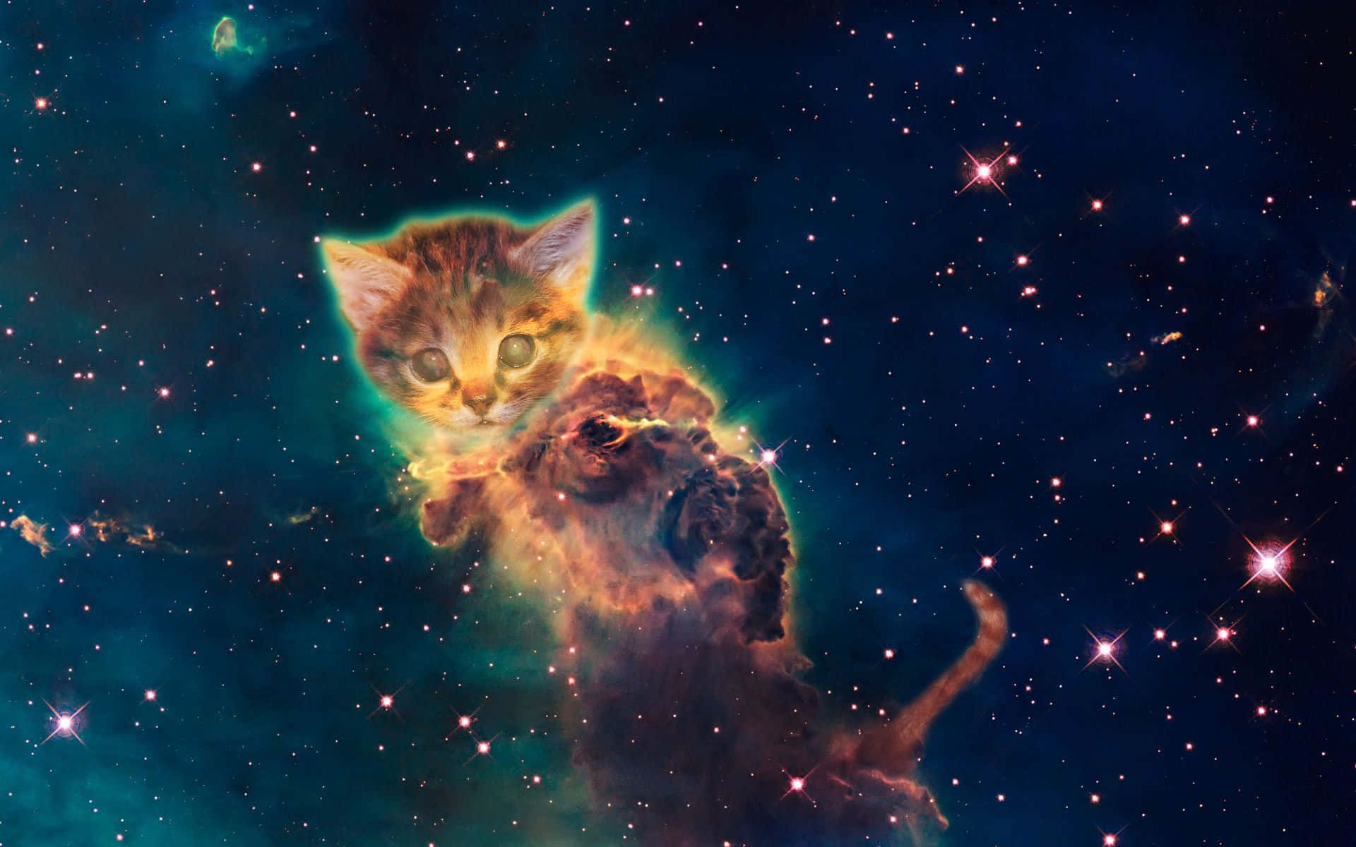 Galaxy Nebula Forming Cat