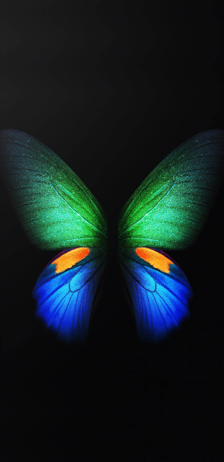 Galaxy S10 Plus Butterfly Wings Background